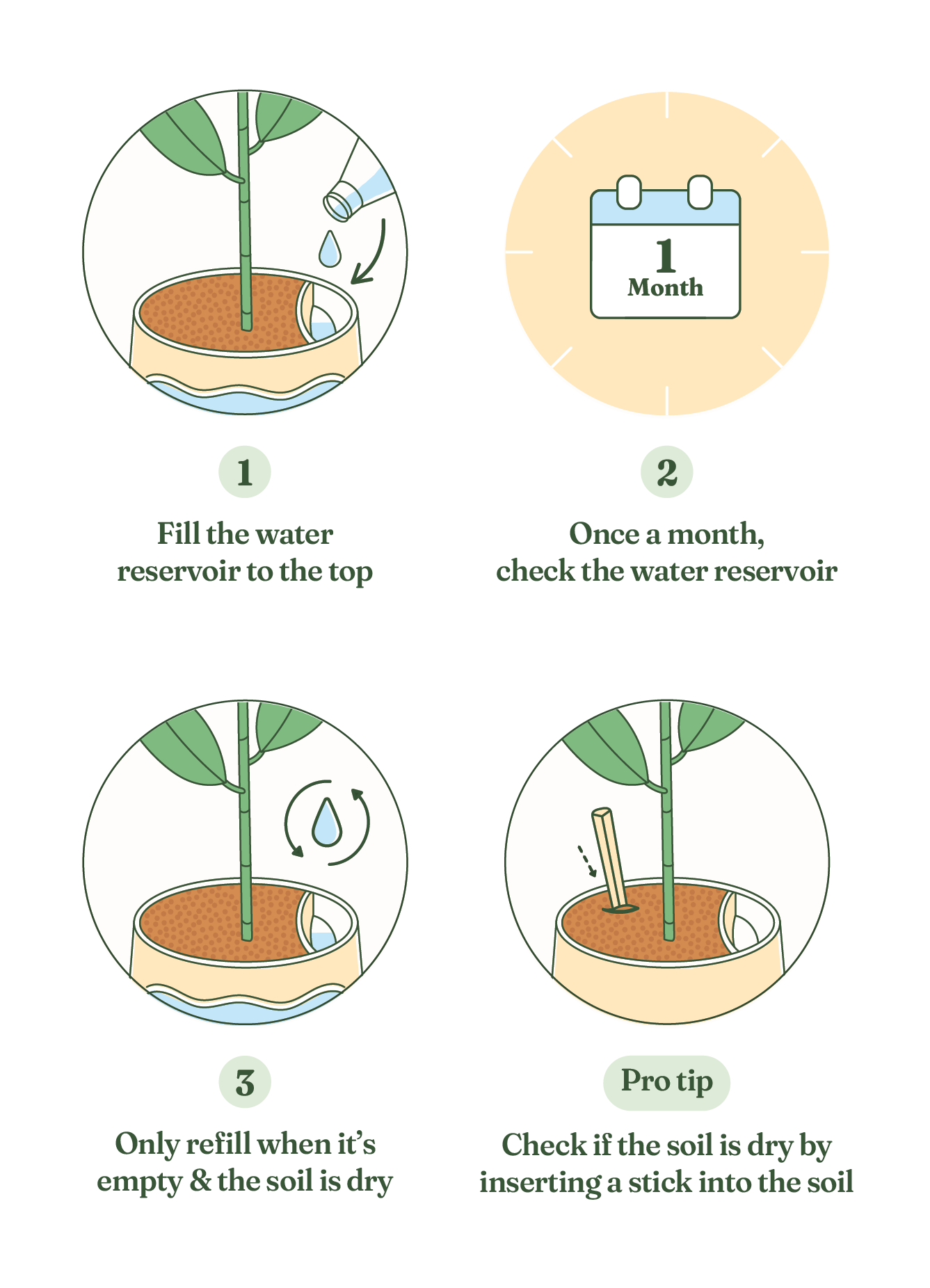 Caring For Your Dragon Tree: Essential Watering Tips