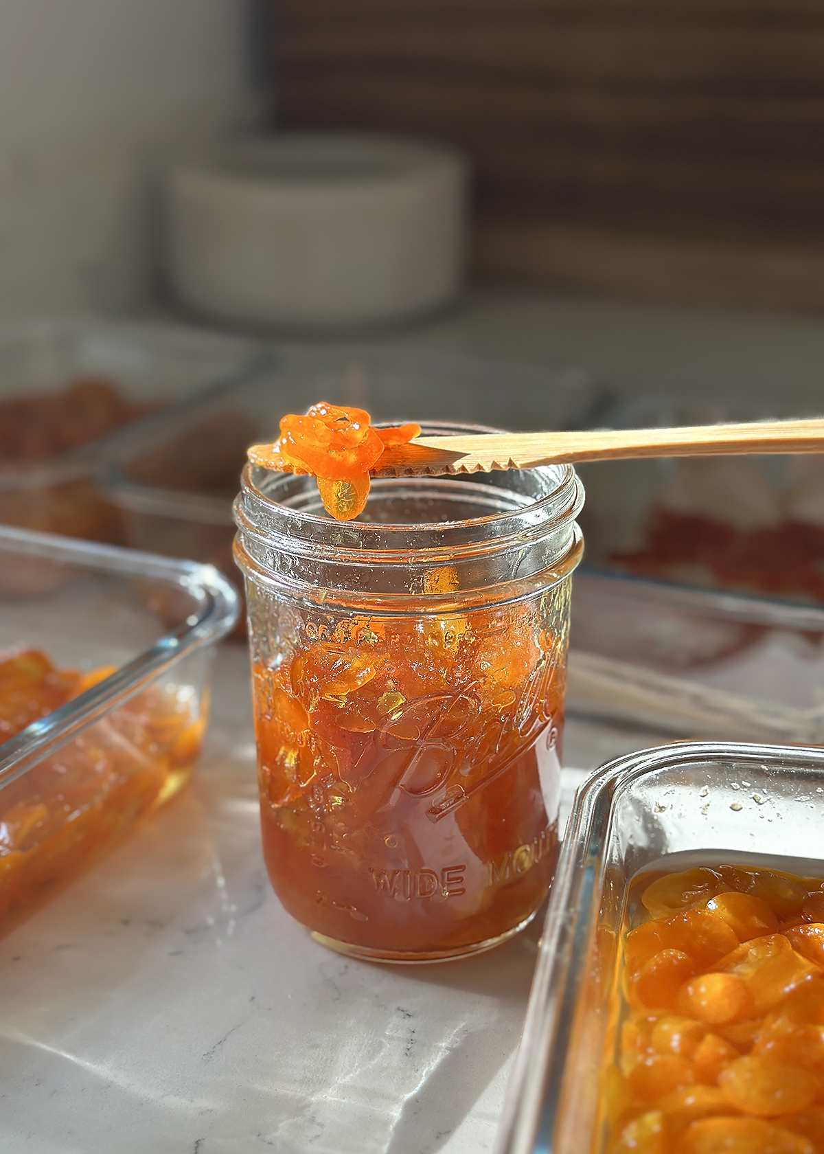 Dried Apricots Benefits