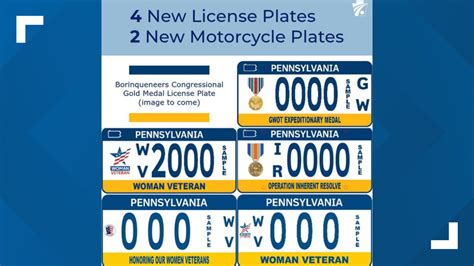 E Steps License Plate