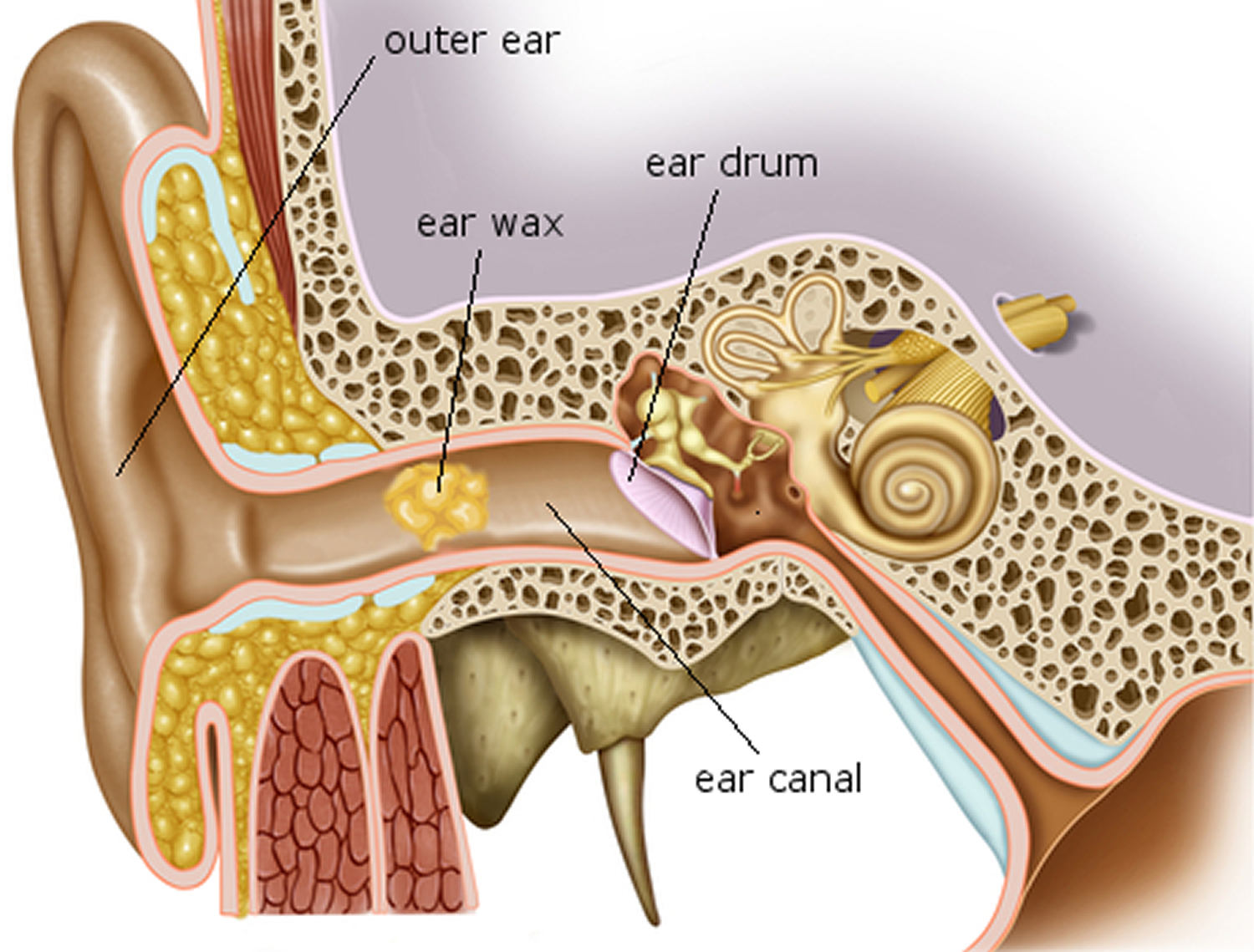 Ear Pressure And
