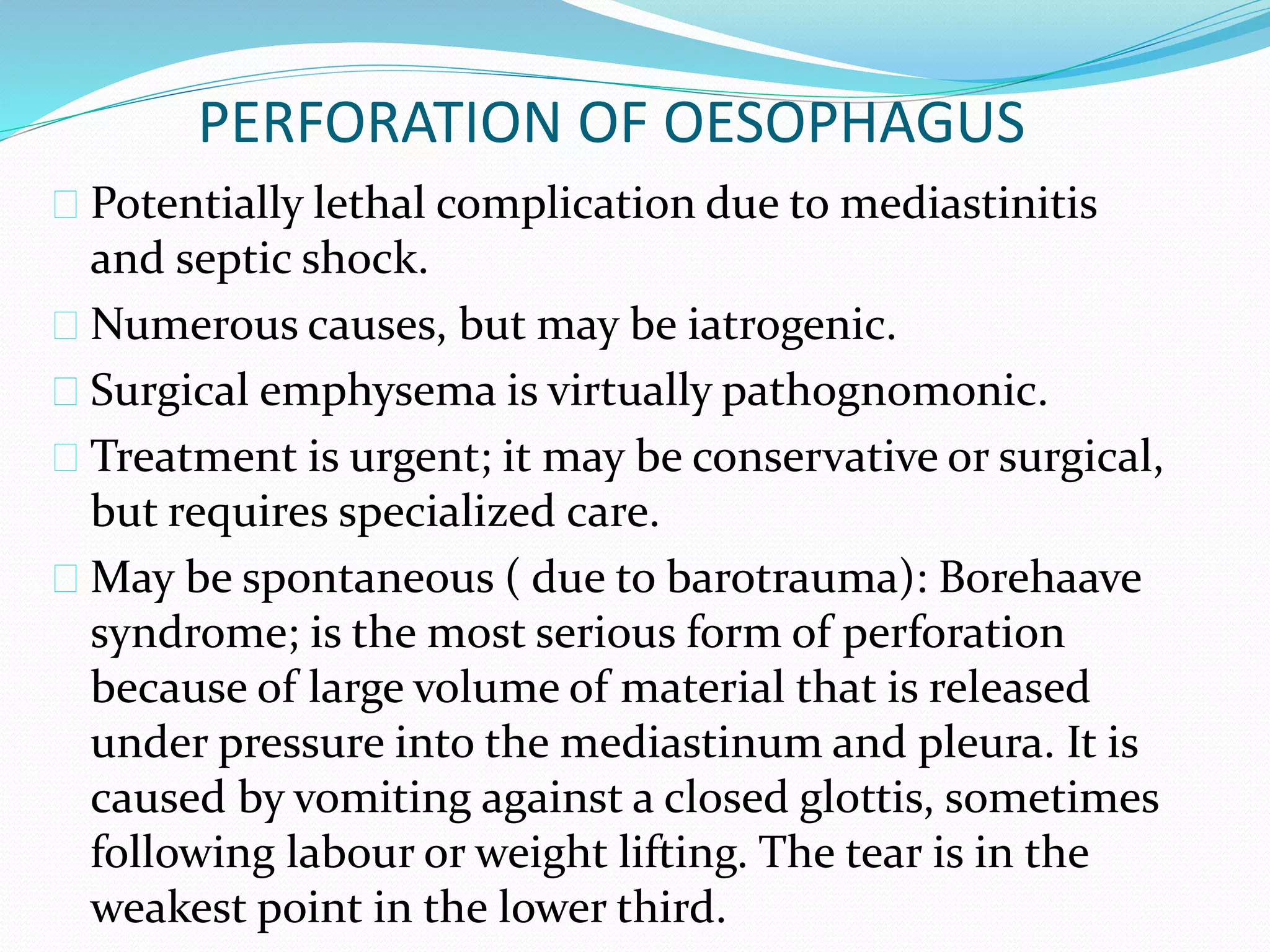 Esophagus Vs Trachea