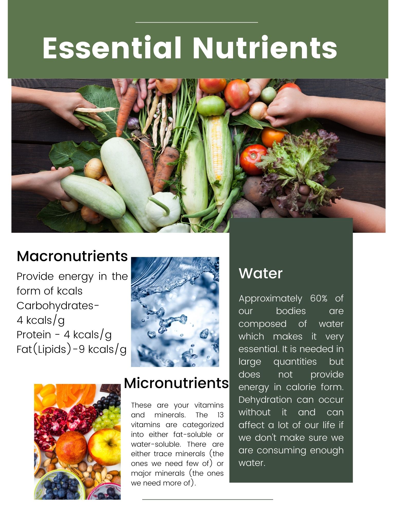 Understanding The Essential Nutrients Added To Your Water