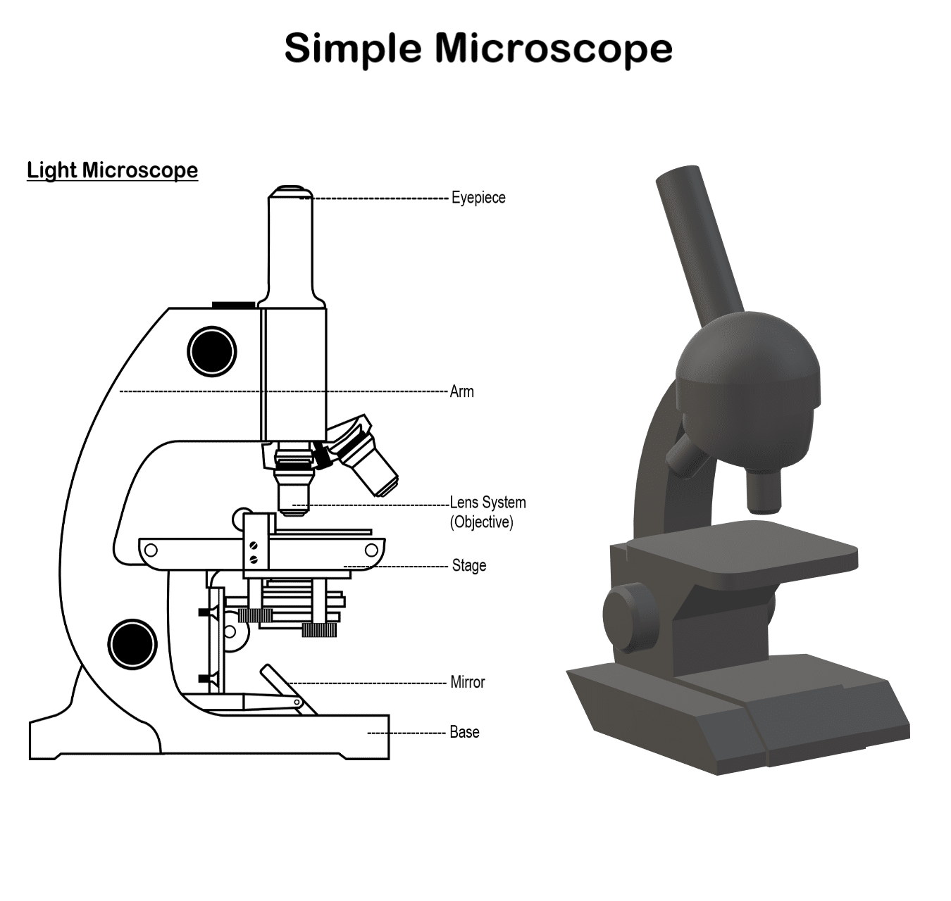 Unlock Patho: Explain Simple Microscope Class 12 Unofficial Revision Guide
