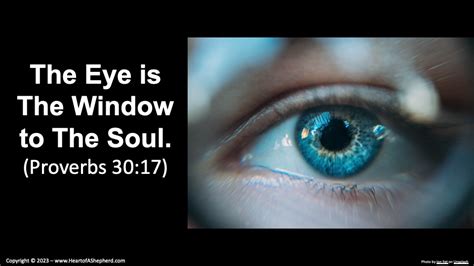 Eyes Reveal Soul's Secrets: Insight Unveiled