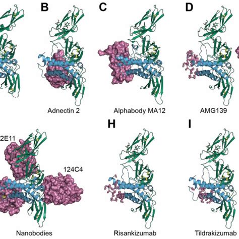 F 23 Structure