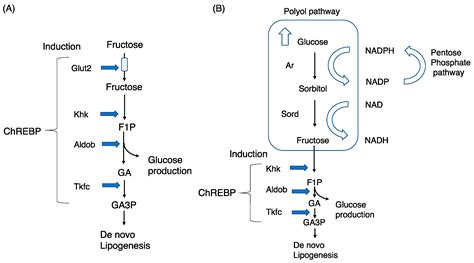 F1p Structure