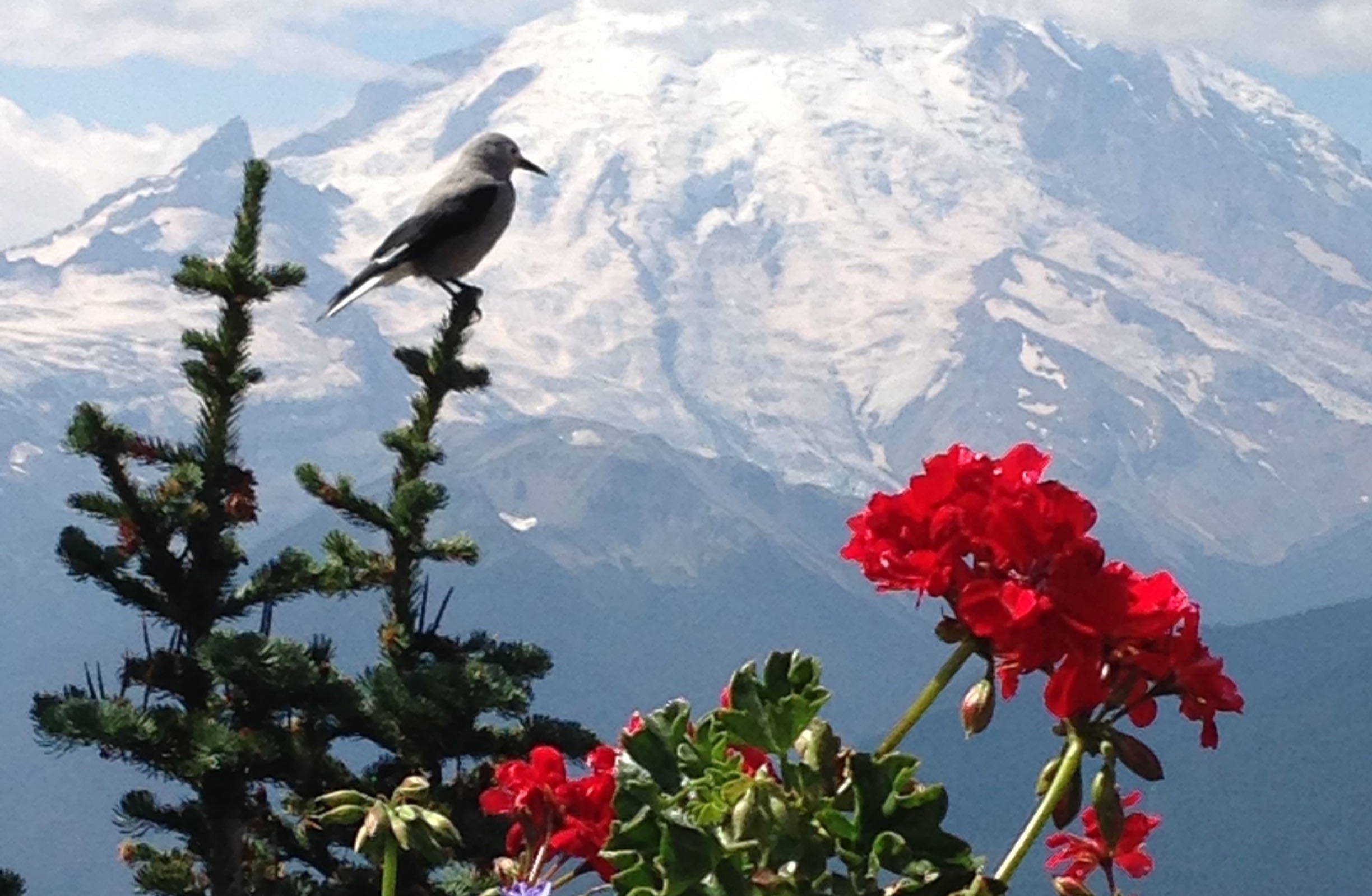 Ultimate Guide to Facebook Image Sizes 2023: Maximize Your Engagement