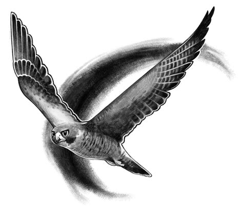 Falcon Flying Tattoo Falcon Flying Tattoo