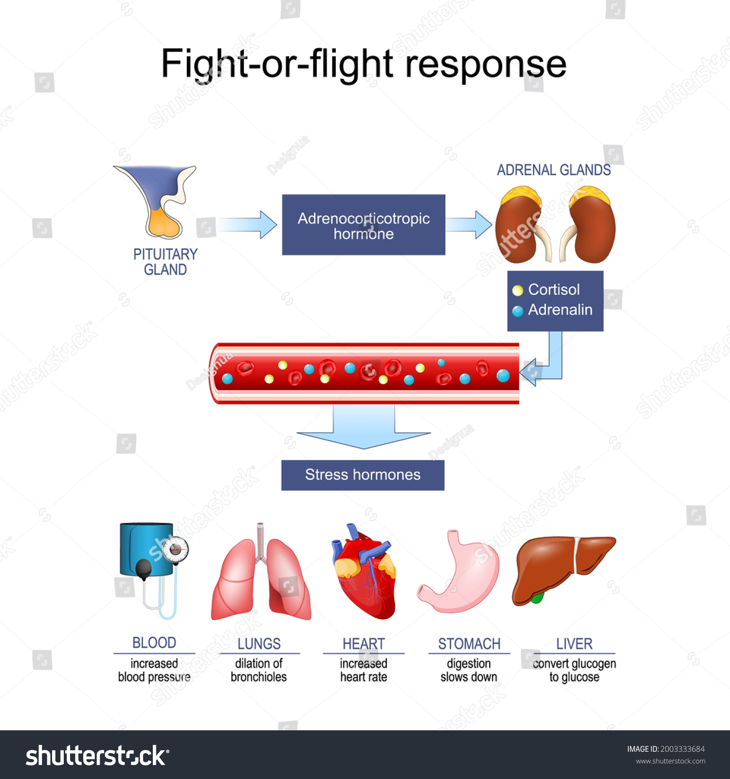 Flight Paramedic Salary