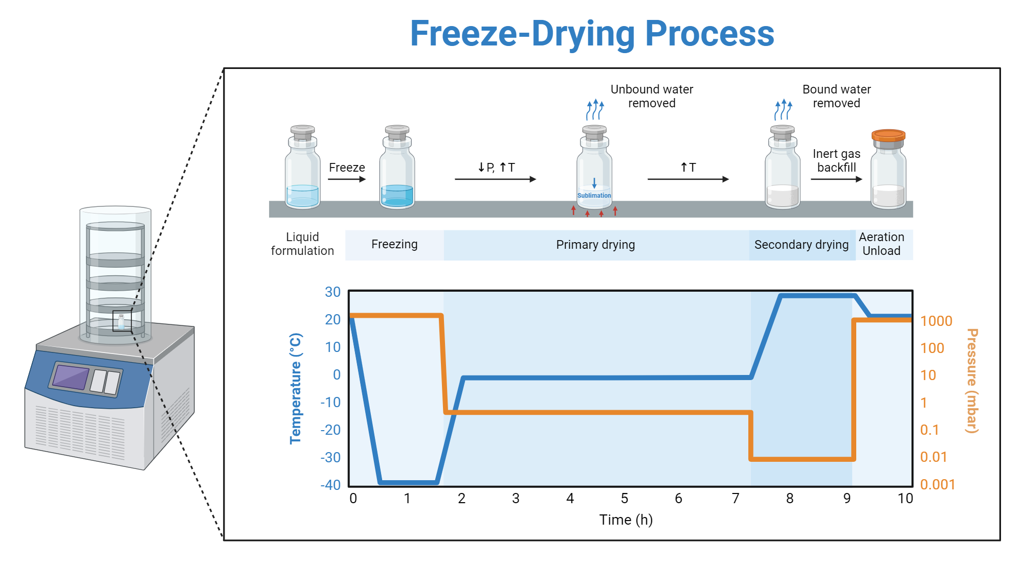 Freeze Rows In Excel