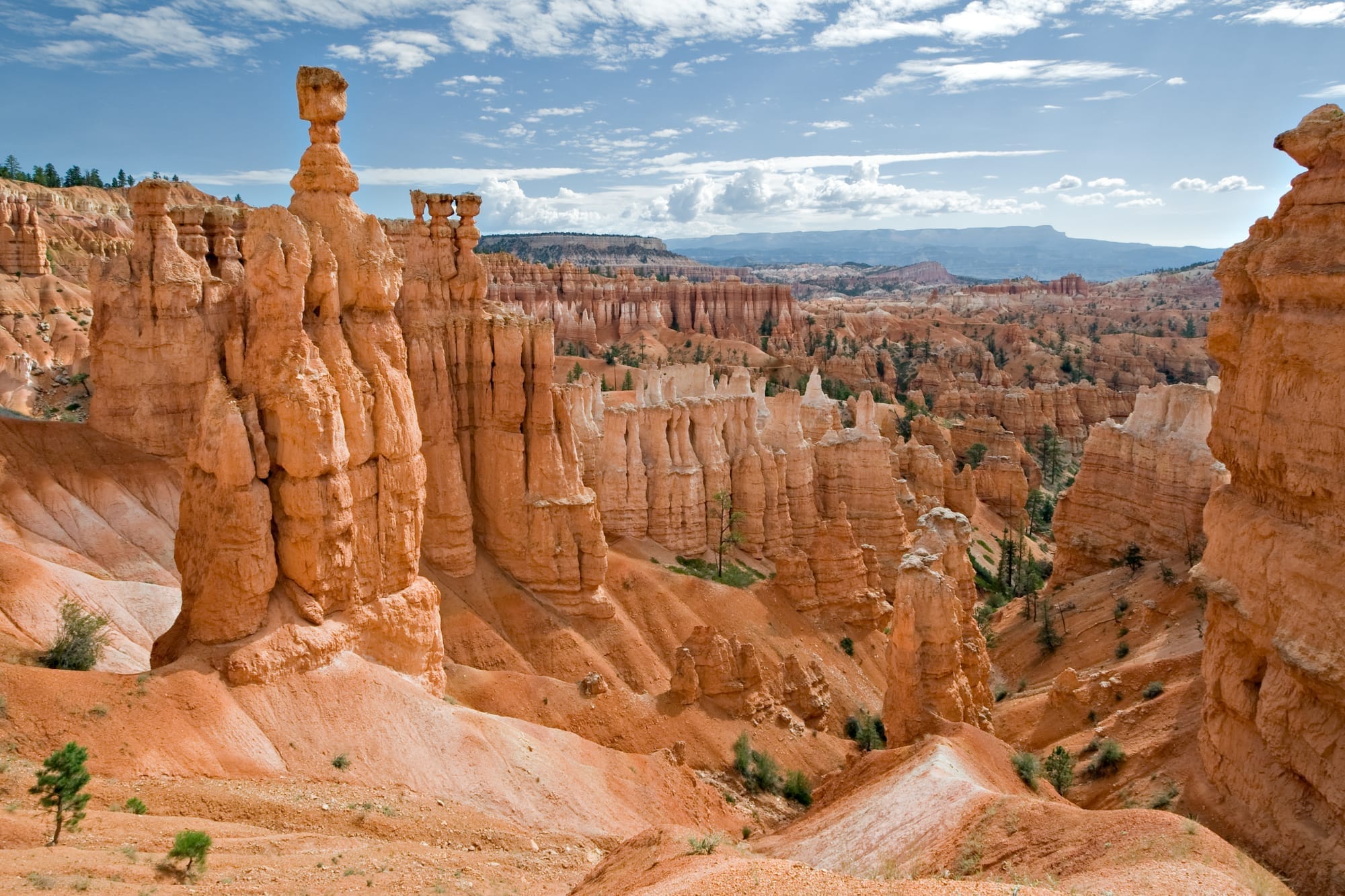 Geology/Earth Layers