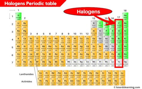 Halogens Periodic Table: Uncover Their Secrets and Impact