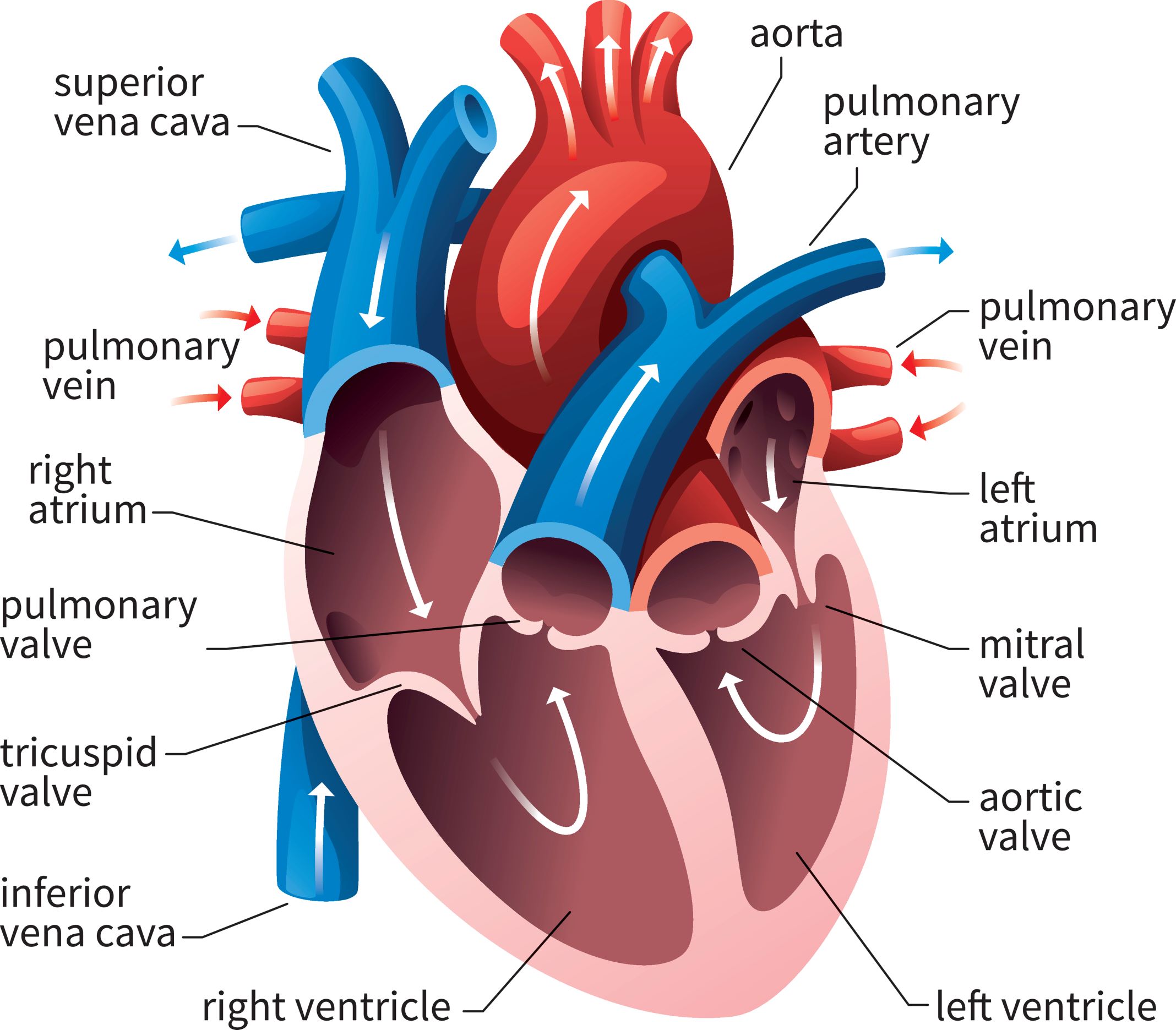 Heart Font Letters