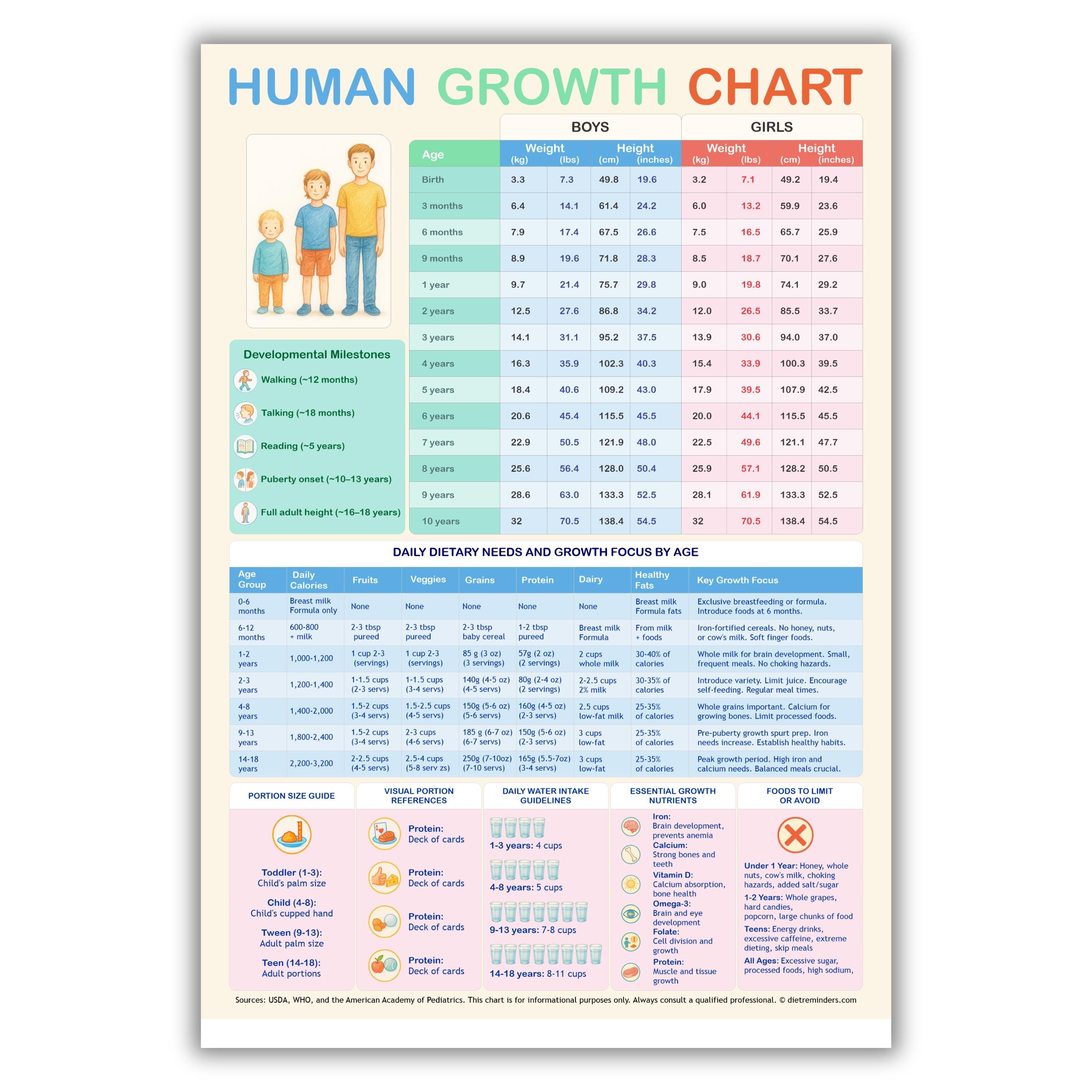 Height Measuring Scale