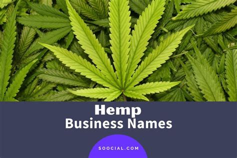 Best Hemp Business Name Ideas Revealed