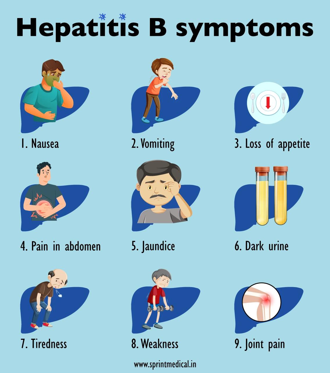 Hepatitis C Stages