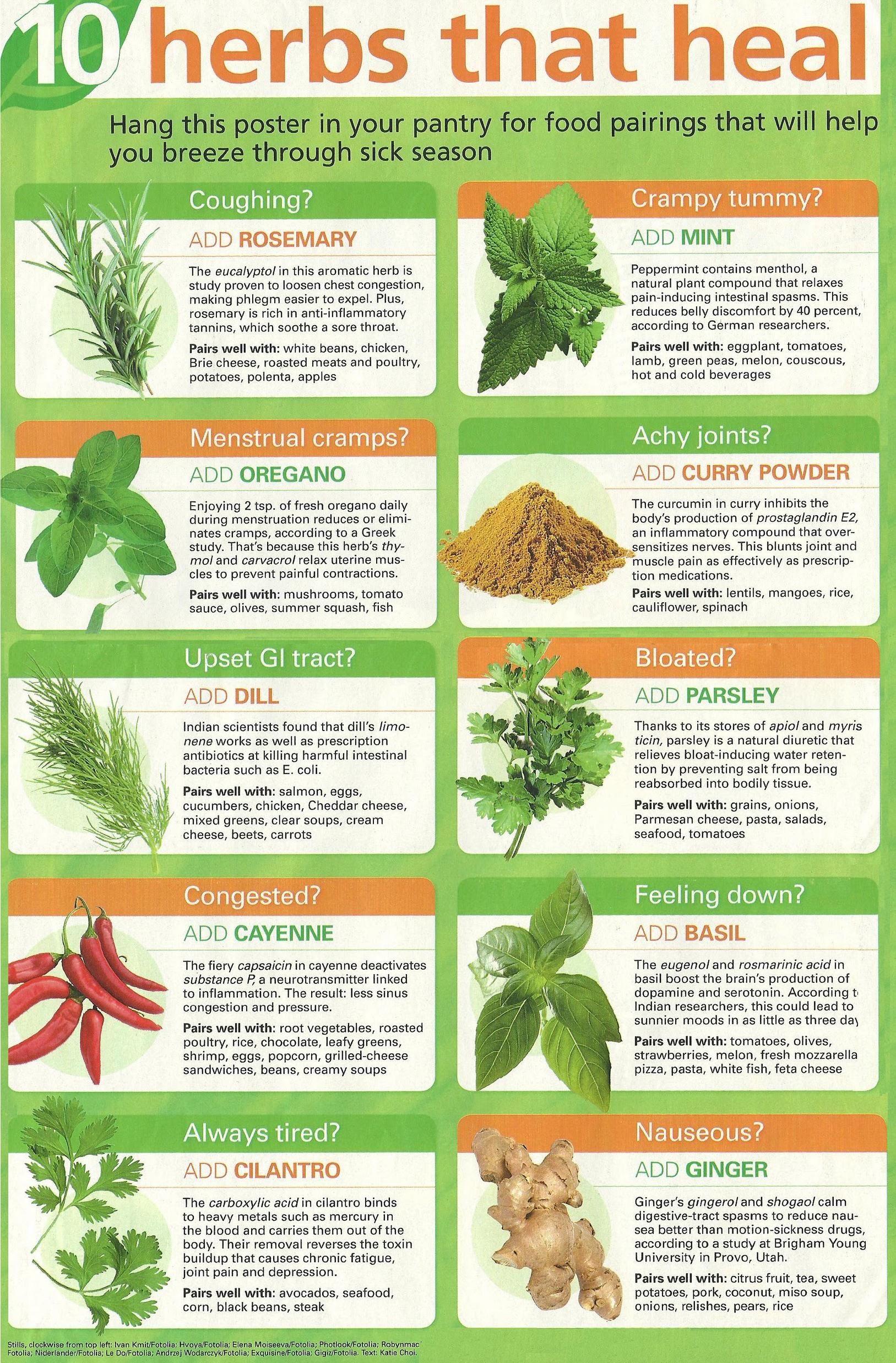 7 Herbs That Heal Naturally For Your Illness