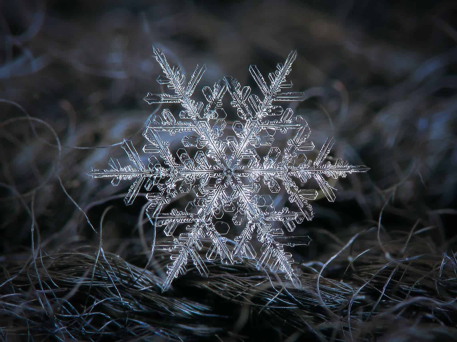 Why Nature Loves The Hexagon Shape