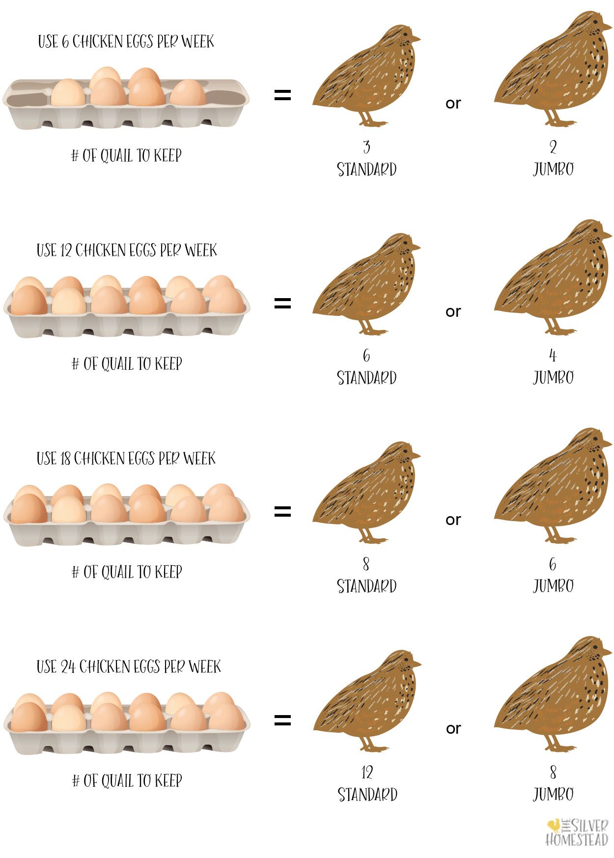How Big Can Quail Get: Weight, Height, And Lifespan Facts