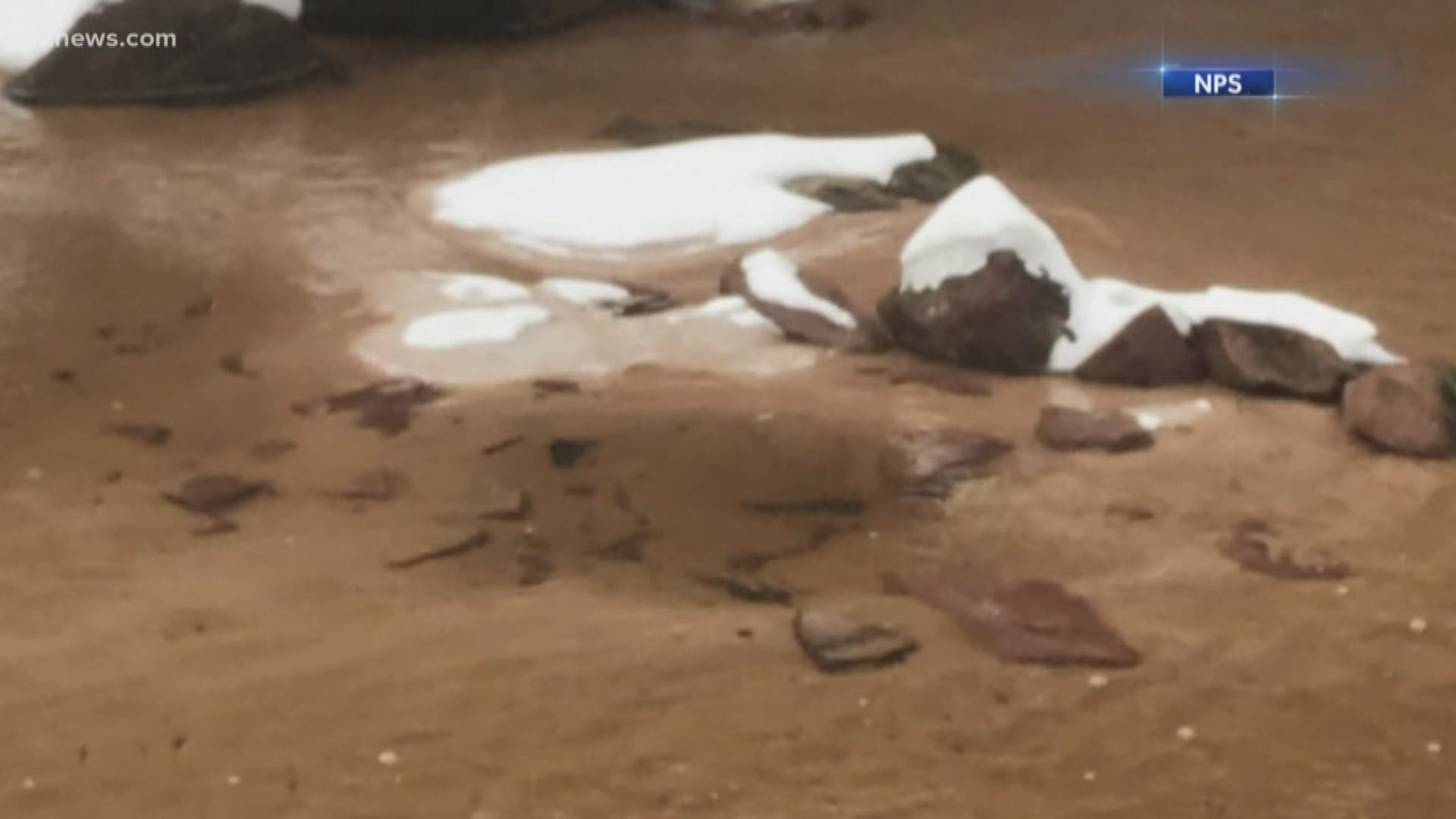 Can You Even Sink That Deep?: Real Answers On How Deep Quick Sand Actually Goes