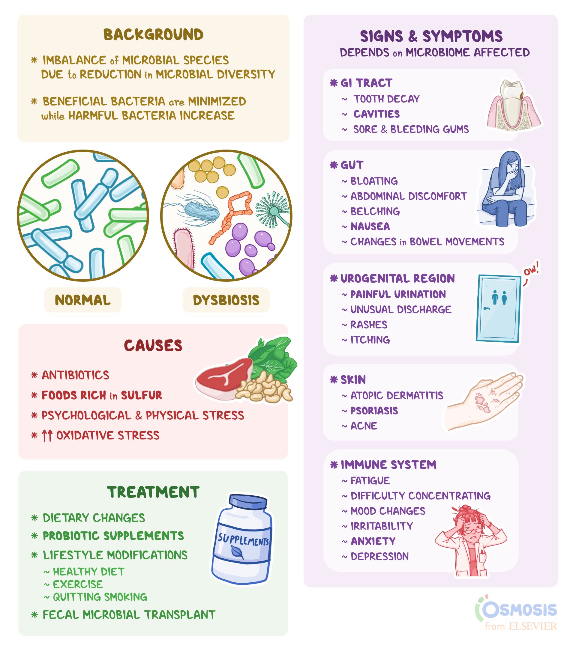 How Bacteria Get Nutrients: A Simple Guide