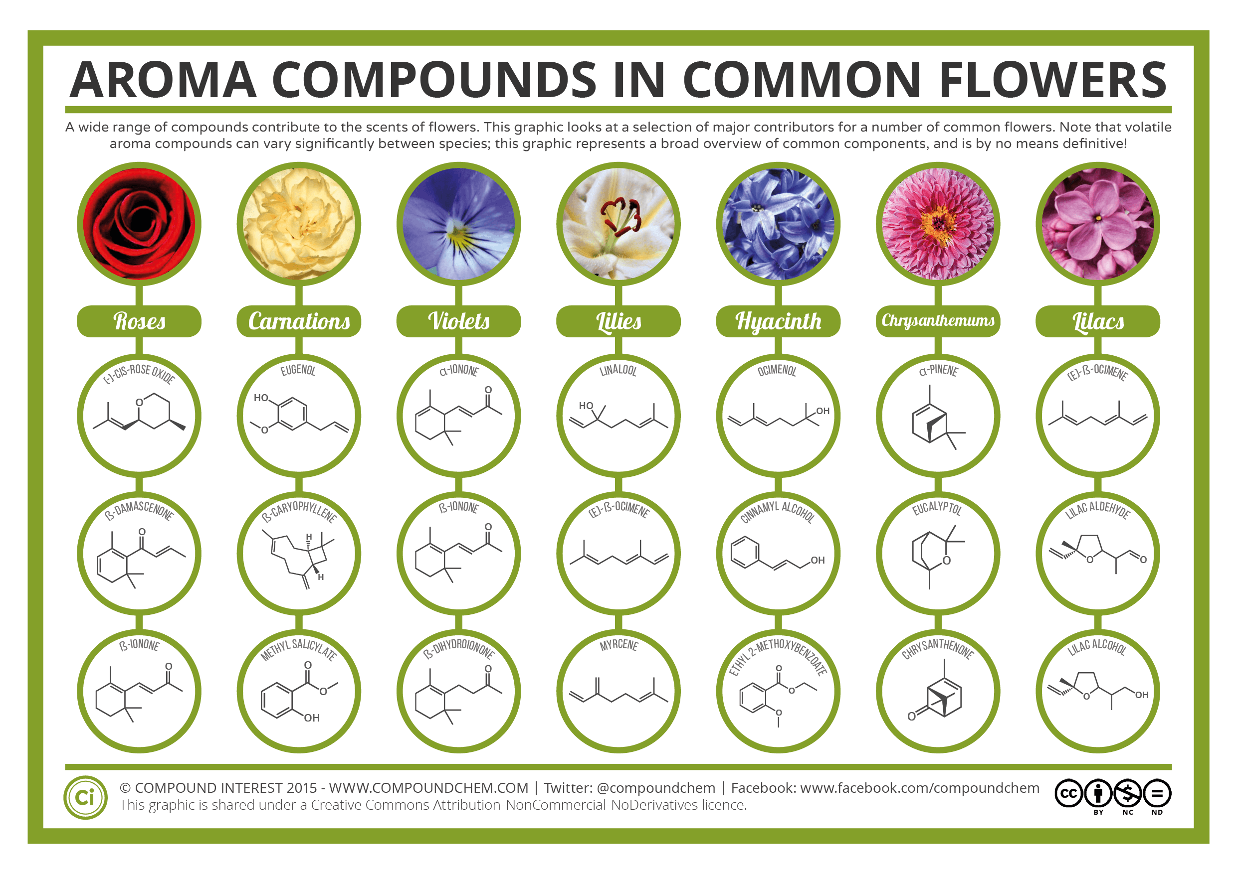 How Do Flowers Produce Scent?