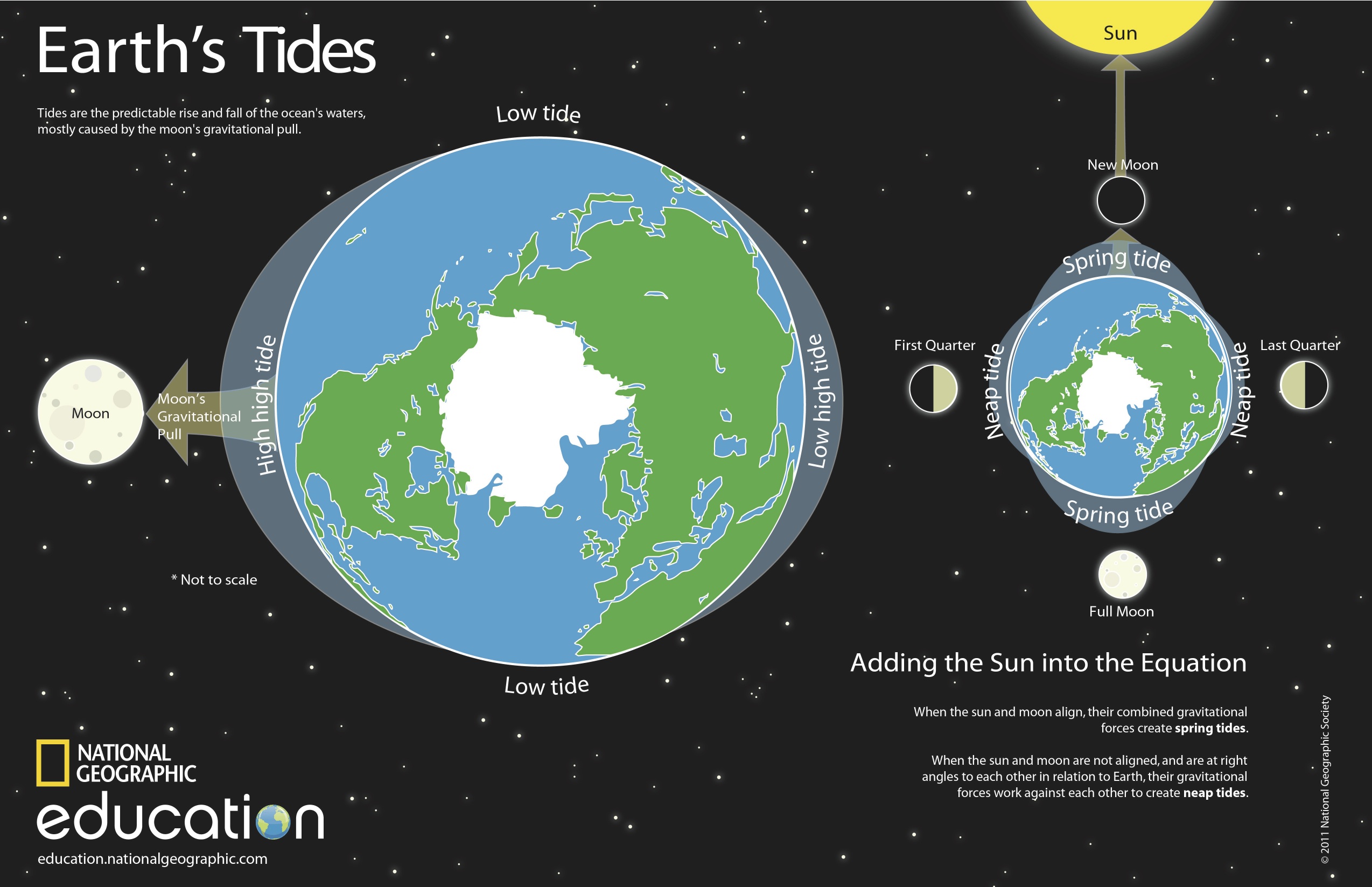 Understanding King Tides: How They Occur And Why It Matters