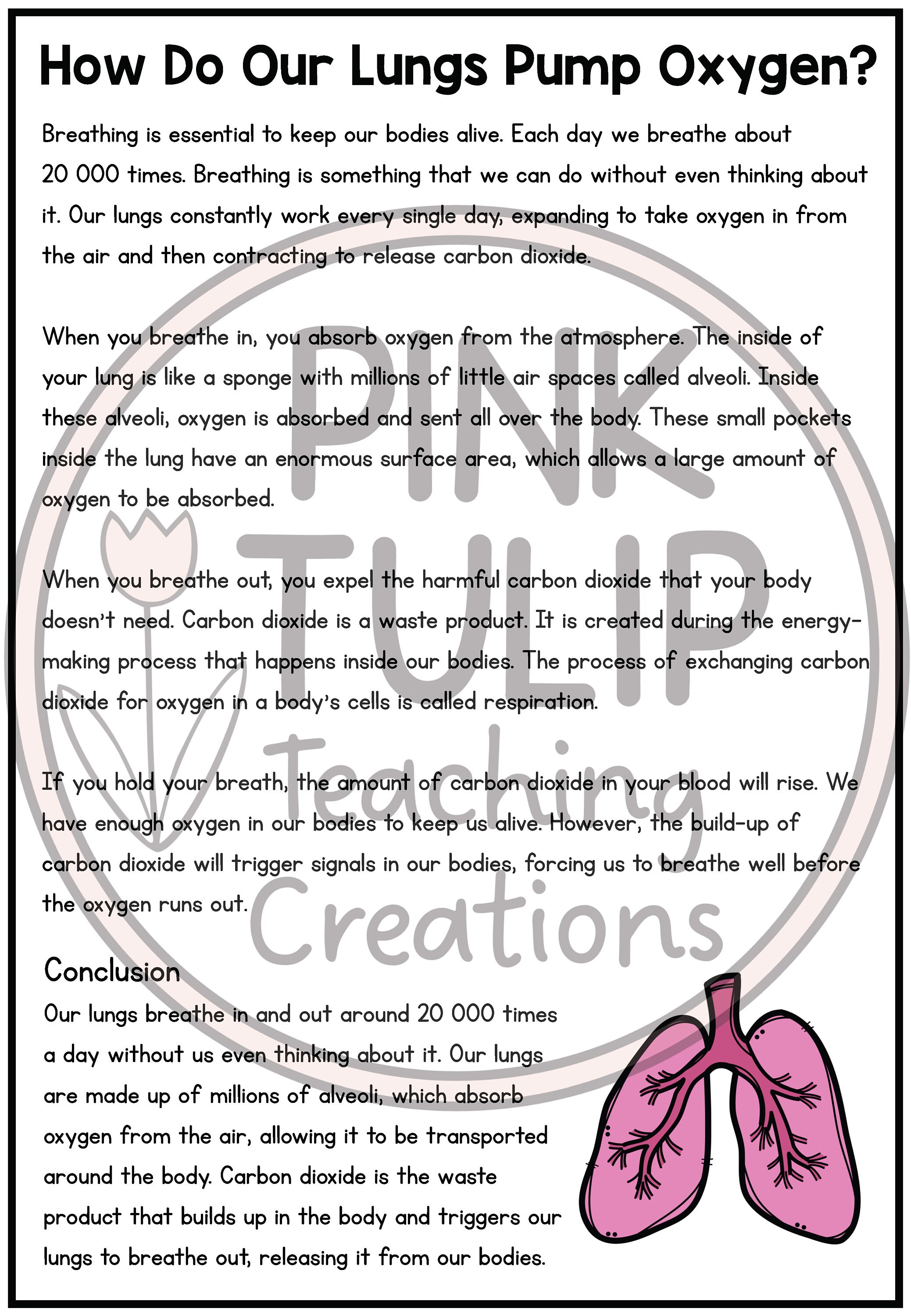 How Do Our Lungs Work: A Simple Guide To Breathing