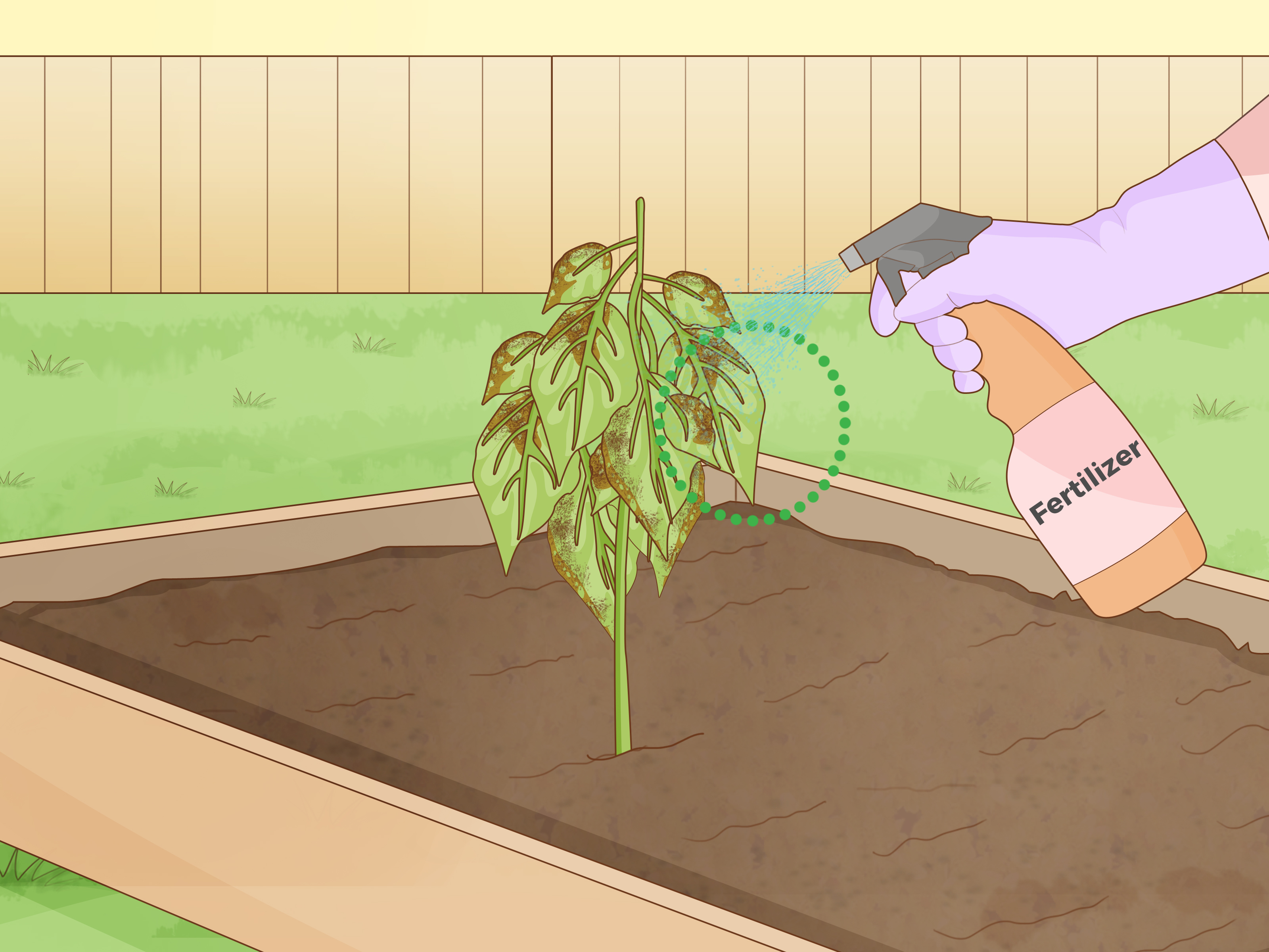 How Plants Feed Themselves: A Simple Guide To Photosynthesis
