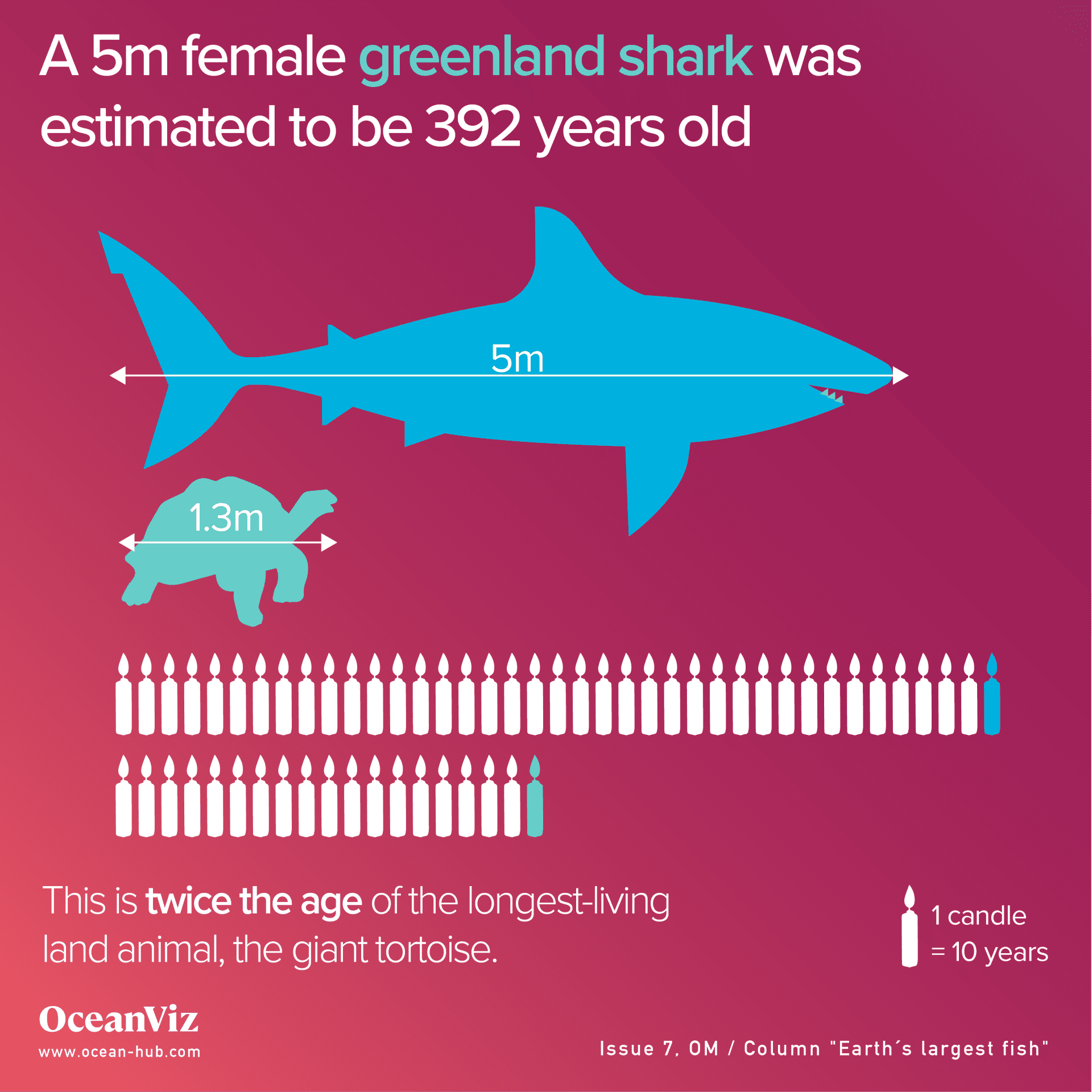 How Do Sharks Age: The Science Behind Their Lifespan