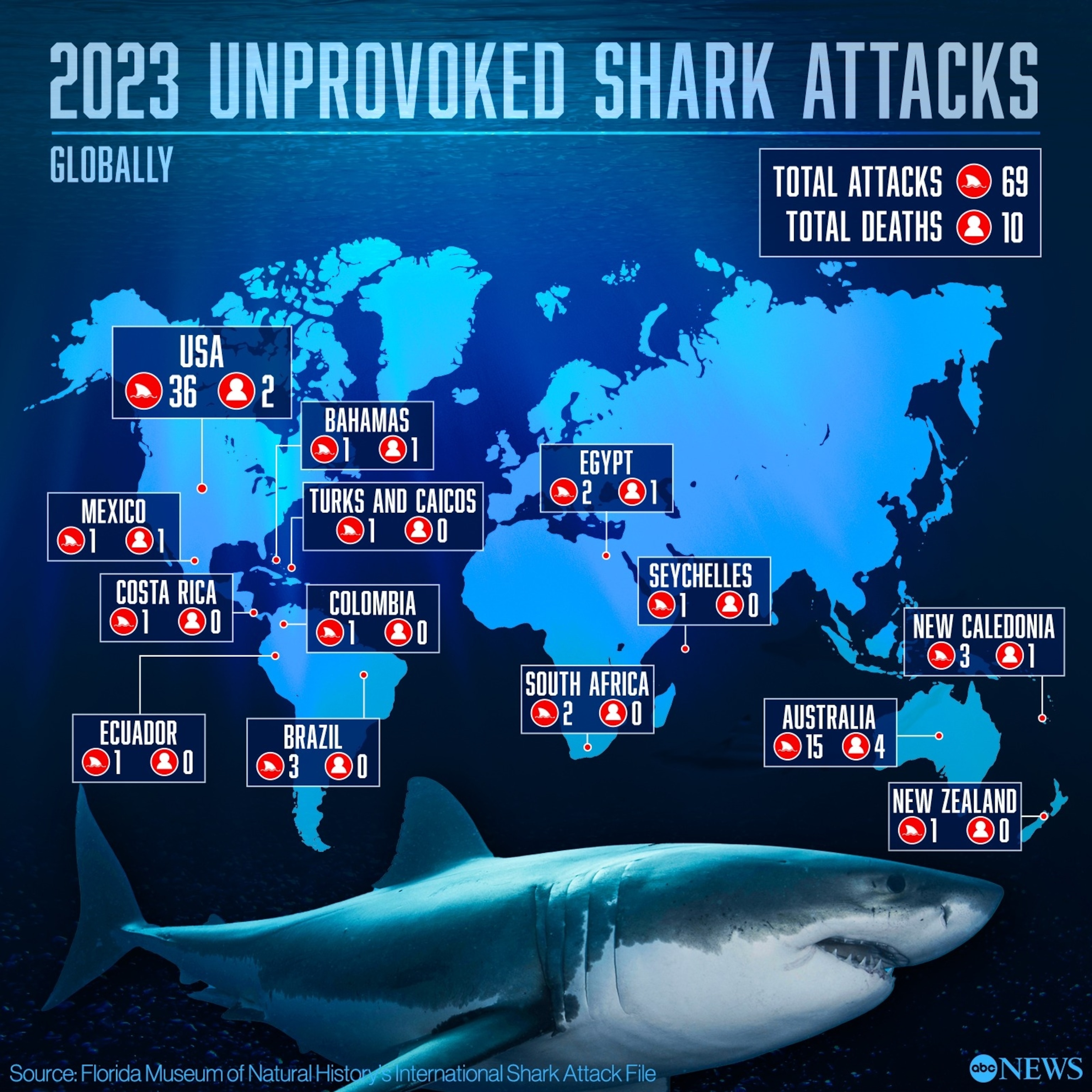 Why Sharks Don't Bite Themselves (Even With Sharp Teeth)