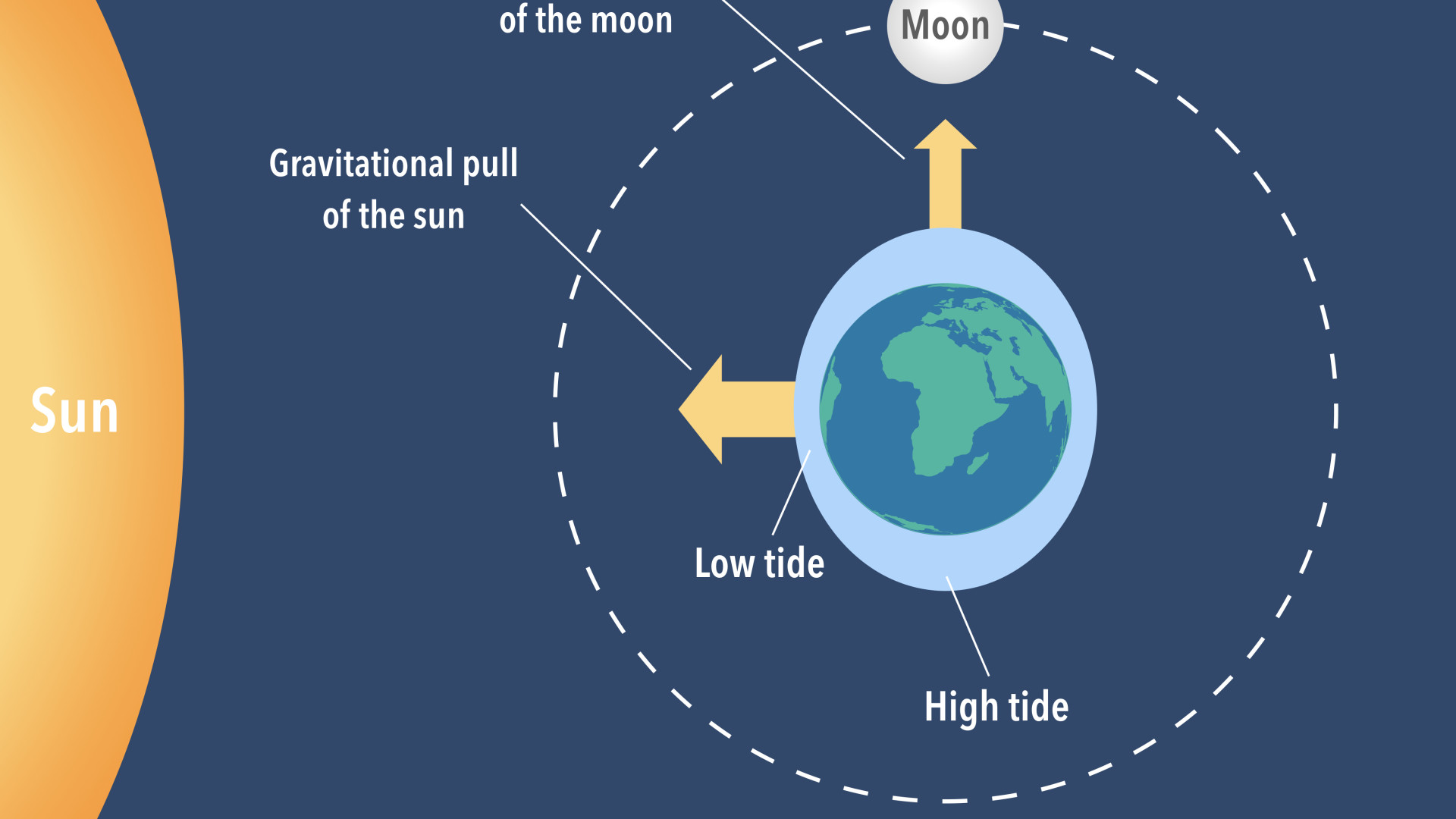 How Tides Vary With Latitude: The Complete Guide Tides Explained: How Latitude Changes Ocean Motion The Real Reason Tides May Be Higher At High Latitudes The Great Latitudinal Shift: How Tides Differ Near Poles Why Ocean Tides Change As You Move North Or South