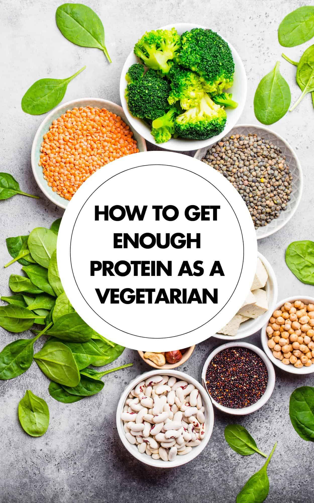 How Do Vegetarian Animals Get Protein Without Meat