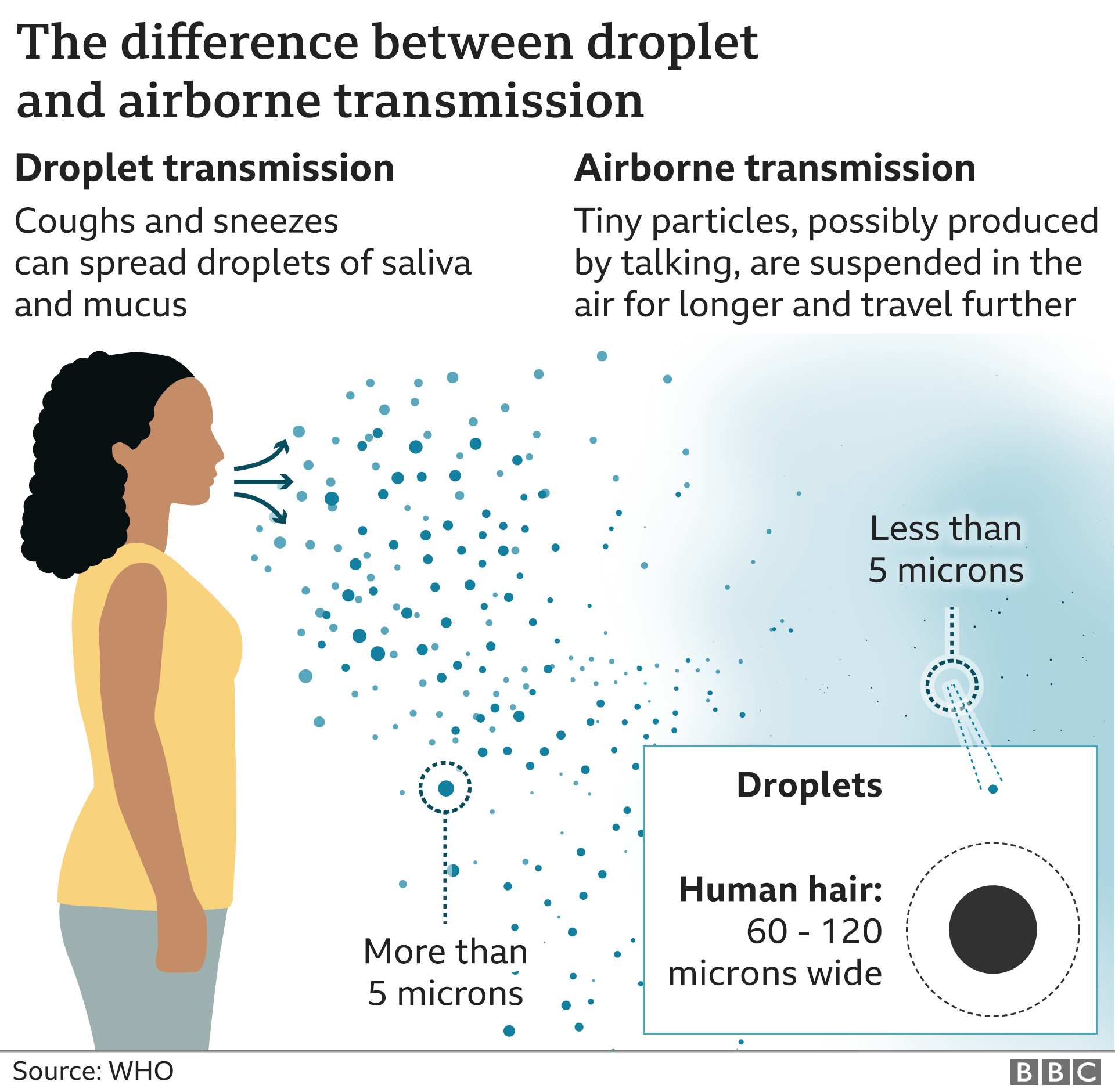 Can Viruses Breathe? Do Viruses Breathe Air?