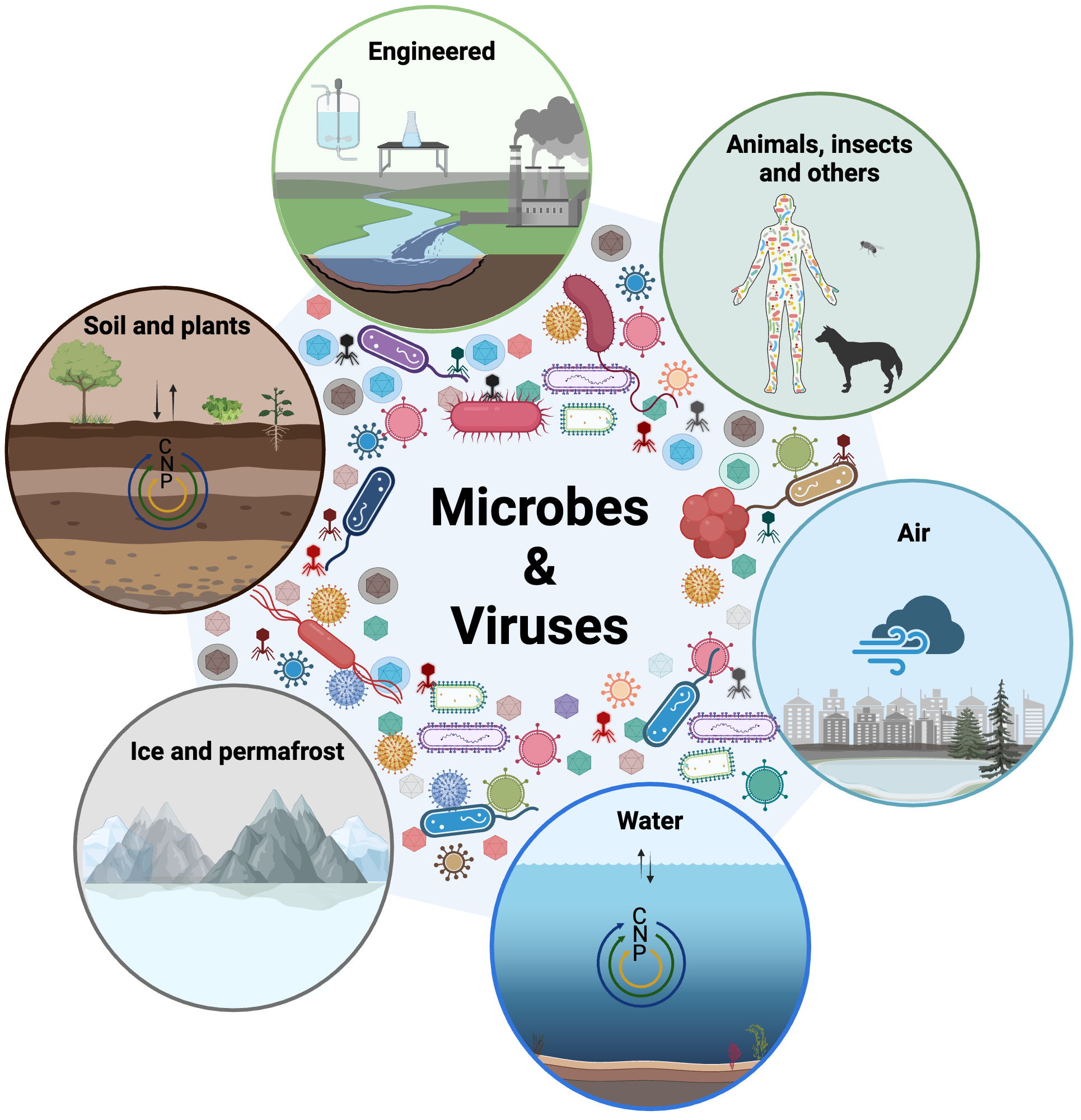Can We Benefit From Viruses In Medicine And Nature?