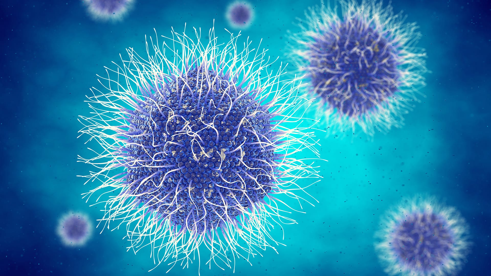 How Do Viruses Look Under A Microscope