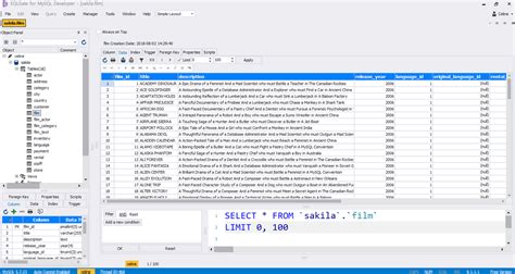 How Does A Database Look Like