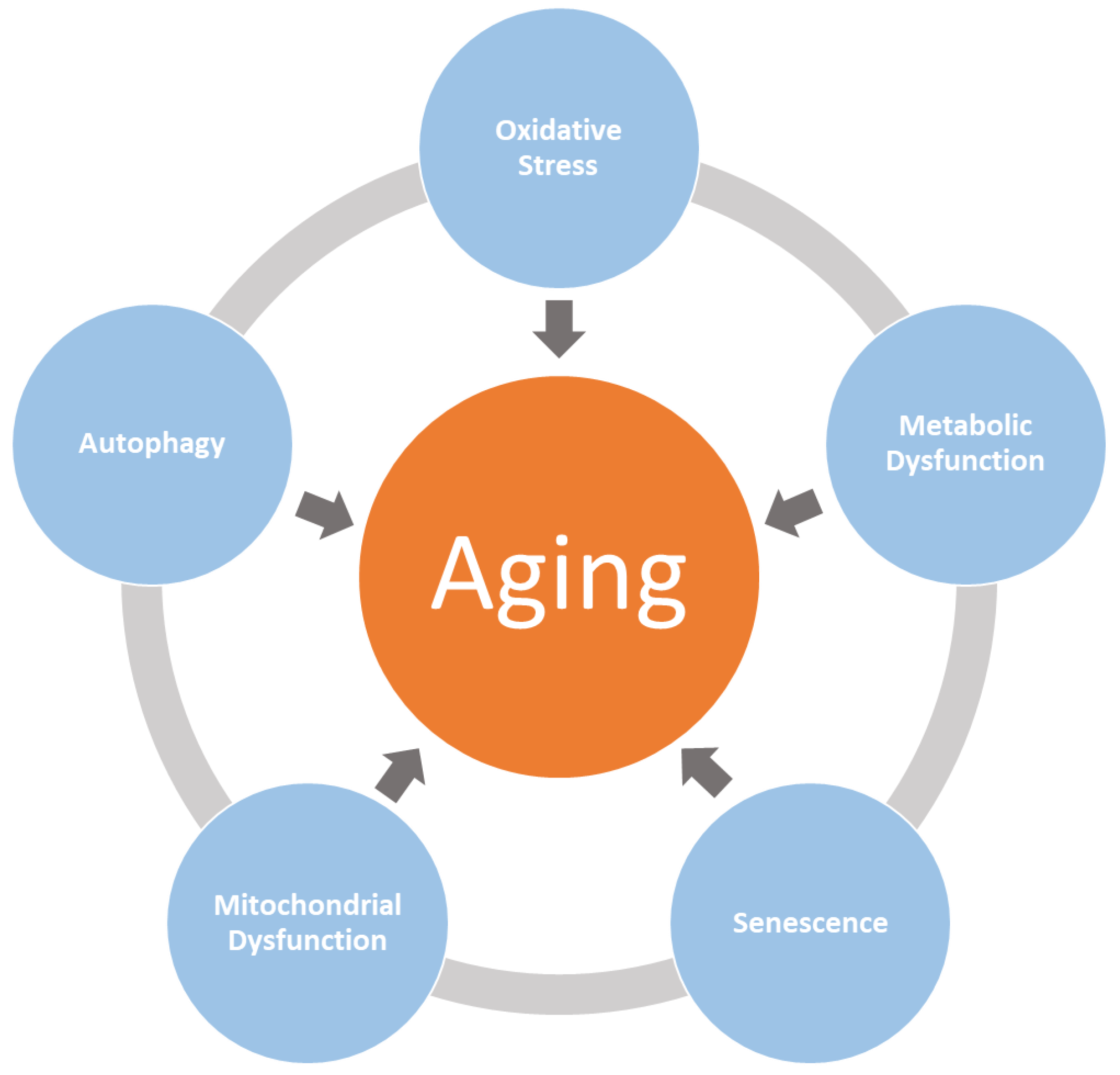 Age Impact On Healing: Why It Slows Down With Time