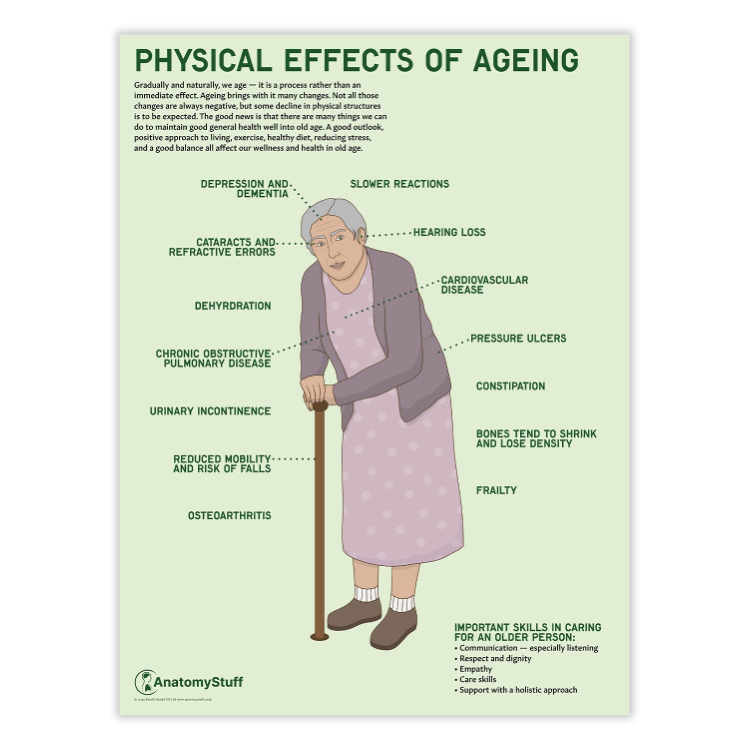 How Does Aging Affect Homeostasis In The Human Body