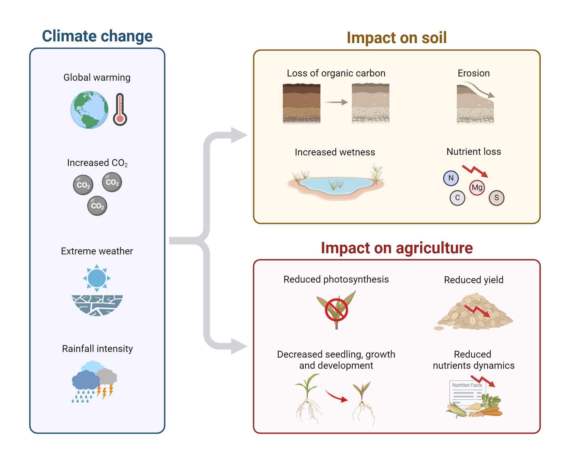 How Does Climate Affect Japan: The Real Impact On Daily Life