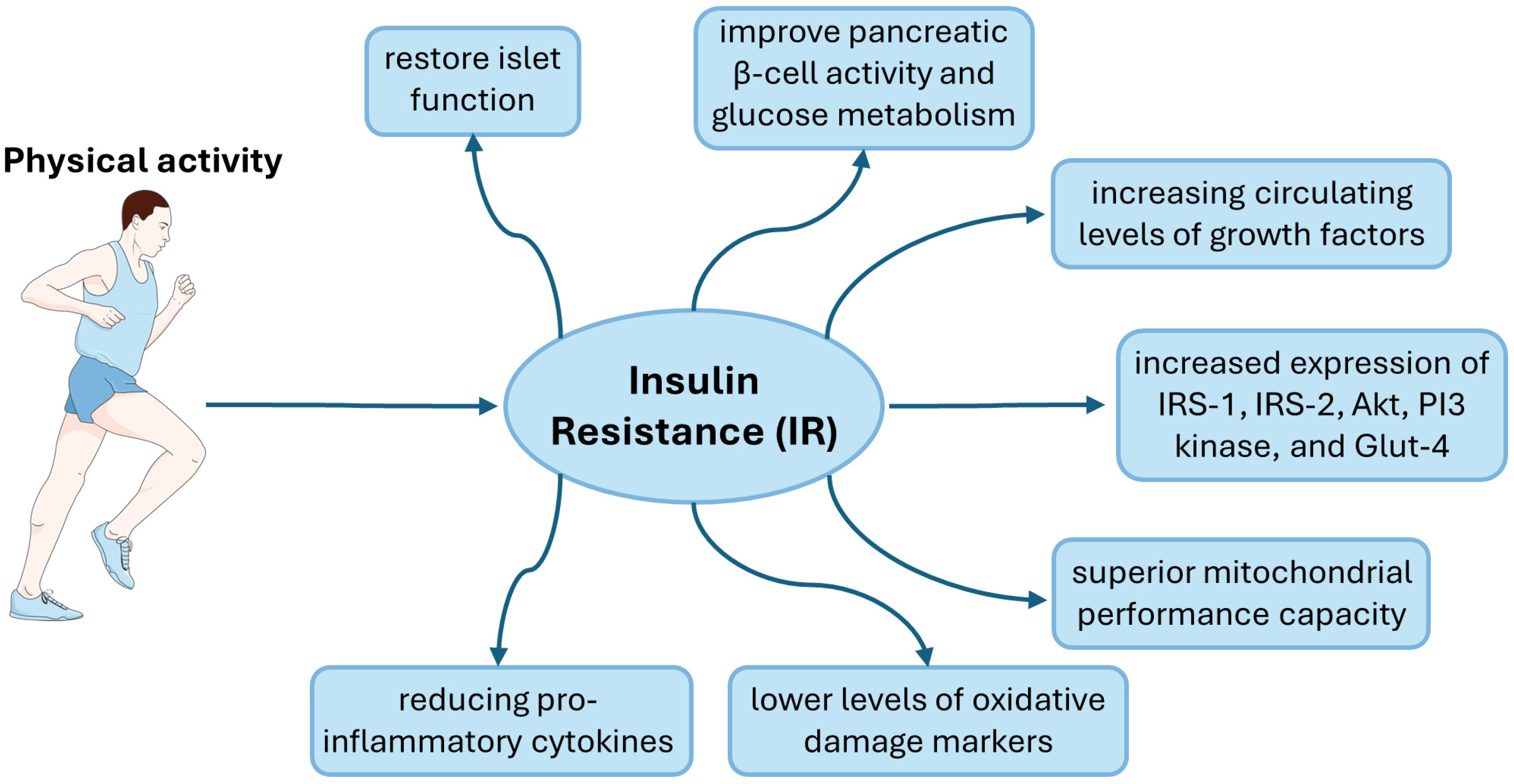 How Does Exercise Affect Fasting Explained