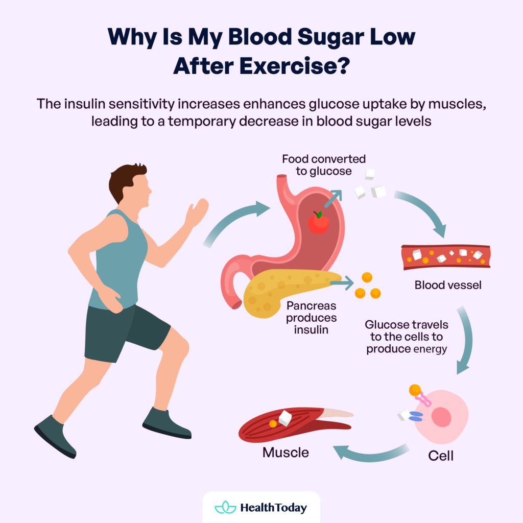 How Exercise Lowers Blood Sugar: The Science Explained