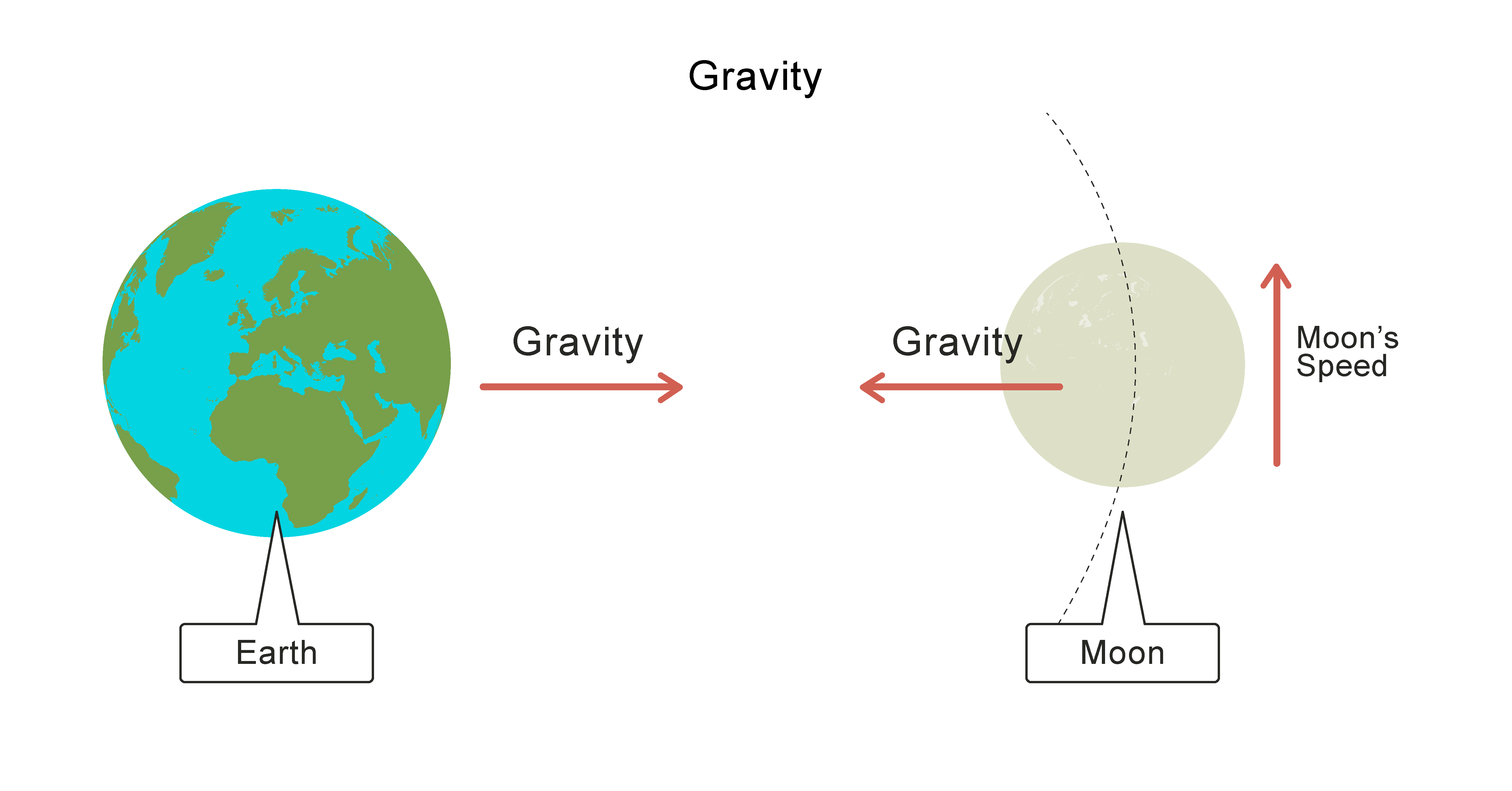 The Real Science Of How Does Gravity Affect Your Weight