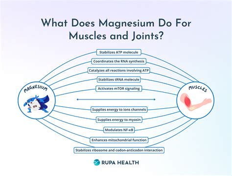 How Does It Help Magnesium