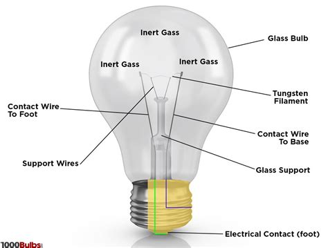 How Does It Work Light Bulb