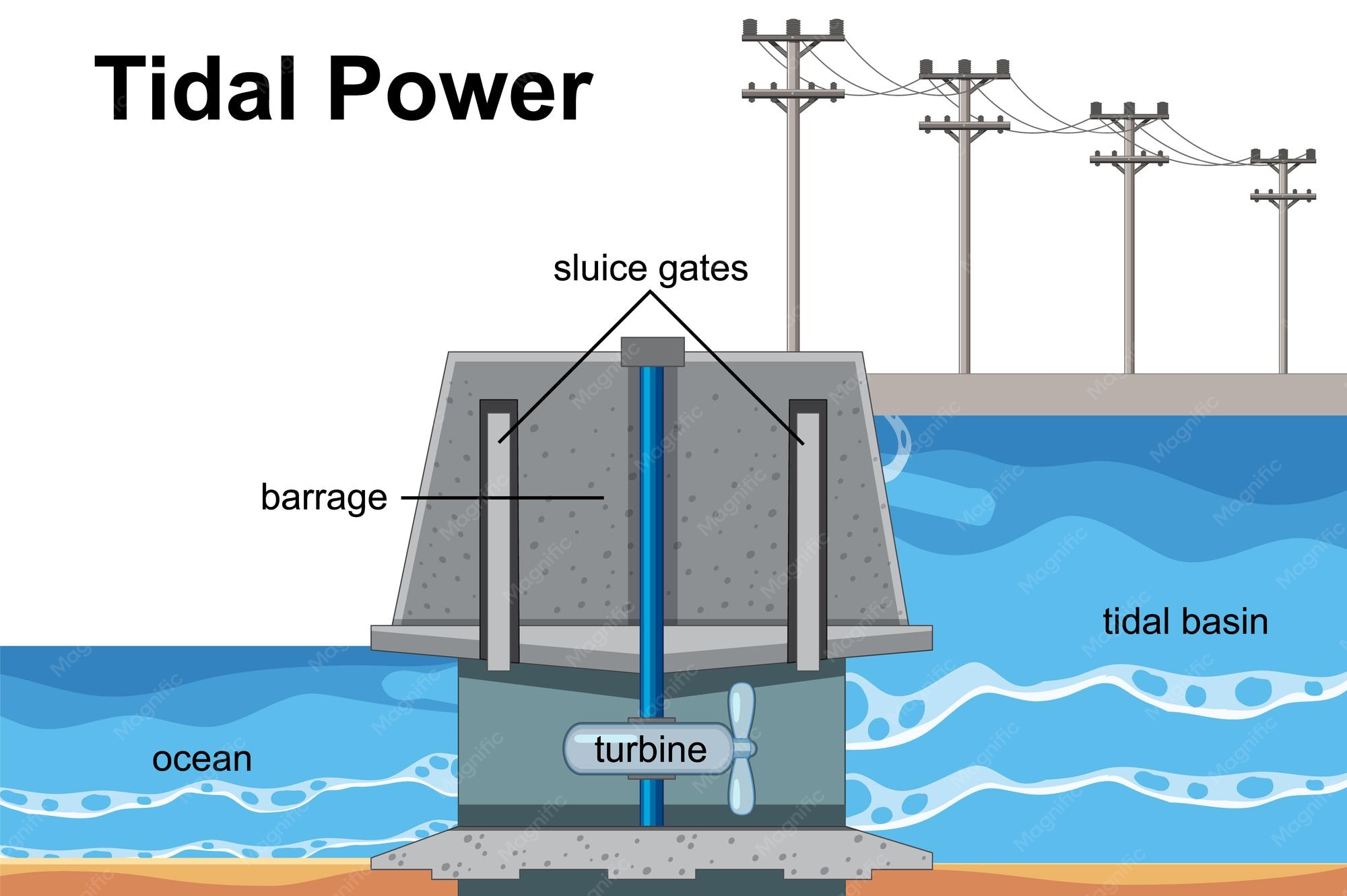 How Does Tidal Locking Work Explained Simply