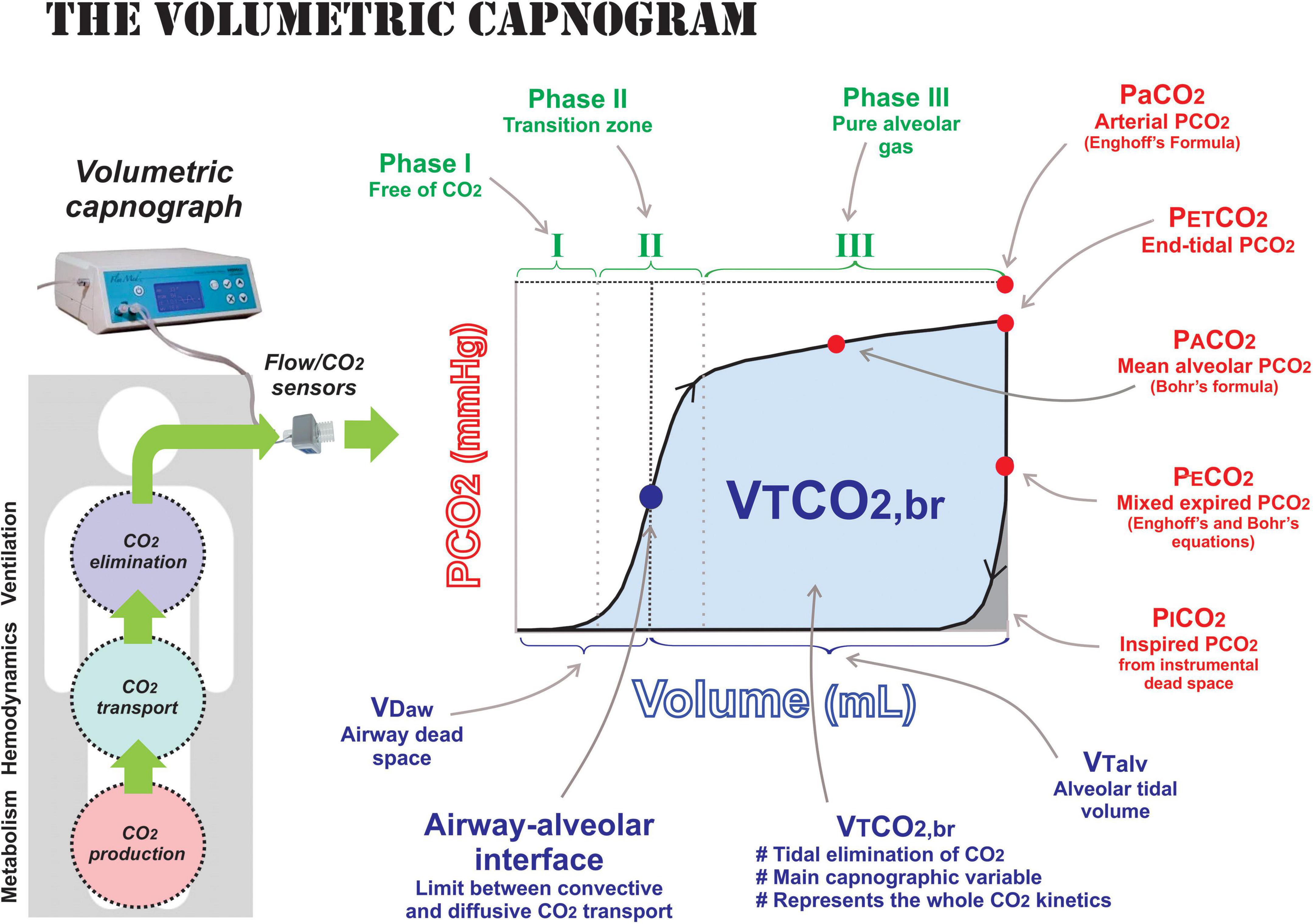 How Does Tidal Volume Affect Co2