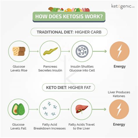 How Fast Does Keto Work