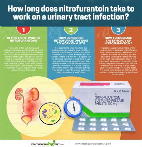 How Fast Does Nitrofurantoin Work