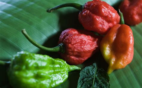 How Hot Is Ghost Pepper